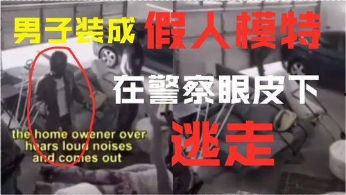 搞笑新闻视频,笑到肚子疼的瞬间