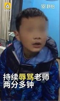 小学生骂人视频,小学生骂人视频引发社会关注