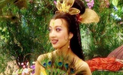 孔雀公主视频,梦幻仙境的传奇之旅