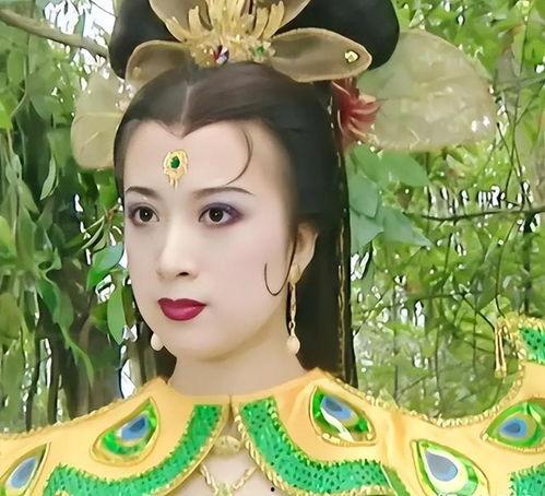 孔雀公主视频,梦幻仙境的传奇之旅