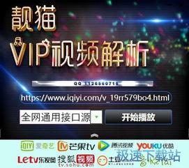 vip解析视频,揭秘热门影视作品背后的精彩细节