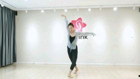 好看的舞蹈教学视频,跟随热门舞蹈教学视频，轻松学会热门舞步