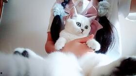 猫咪打疫苗视频,温馨视频带你了解宠物健康守护