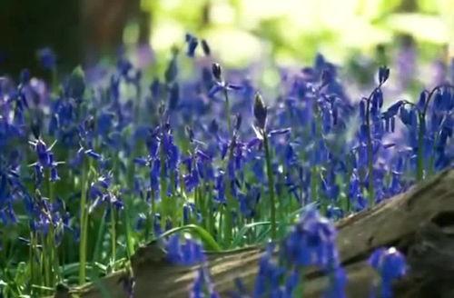 台湾风景视频,碧海蓝天下的绝美画卷