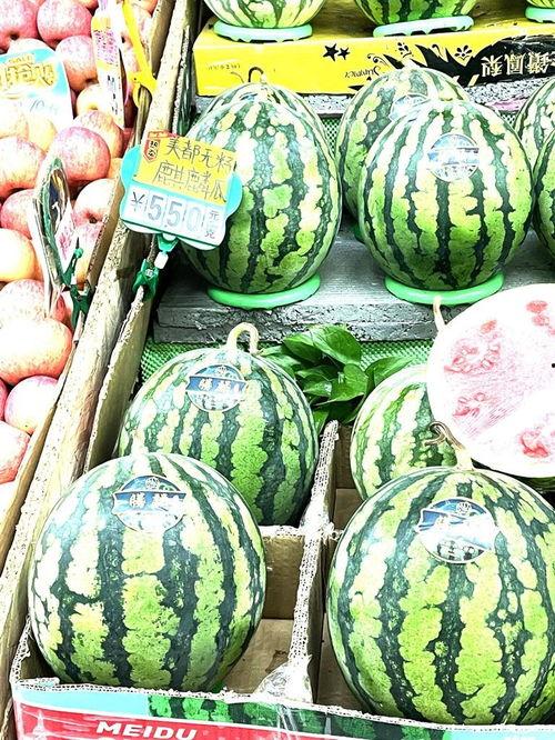 今日分宜麒麟瓜价格,今日行情一览”