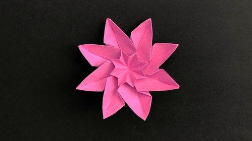 简单折纸花视频,跟随视频教程，轻松制作精美折纸花
