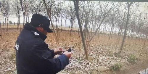 扑鸟视频,扑鸟视频带你领略鸟类生态魅力