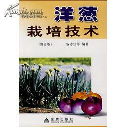洋葱种植视频,从播种到收获的实用指南