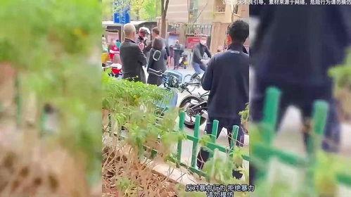 打架视频集锦,街头格斗巅峰对决视频集锦