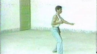 鹤拳视频,传统武术与现代视角下的经典演绎