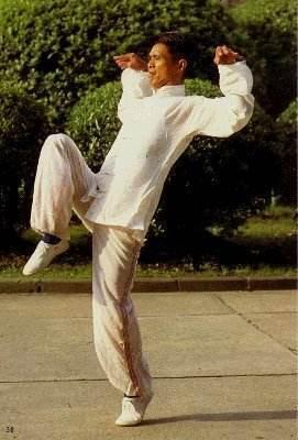 鹤拳视频,传统武术与现代视角下的经典演绎