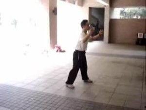 鹤拳视频,传统武术与现代视角下的经典演绎