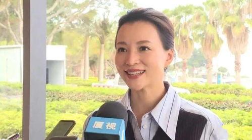 董卿歌曲视频,情感共鸣与视觉盛宴的完美融合