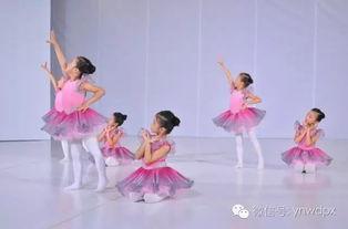 宝宝跳舞教学视频,跟随教学视频轻松学舞小技巧