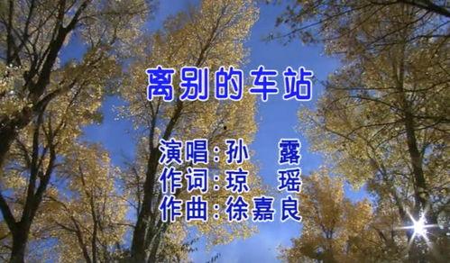 离别的车站视频,情感交织的离别画面