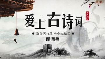 古诗风视频,古诗风视频中的古典韵味再现