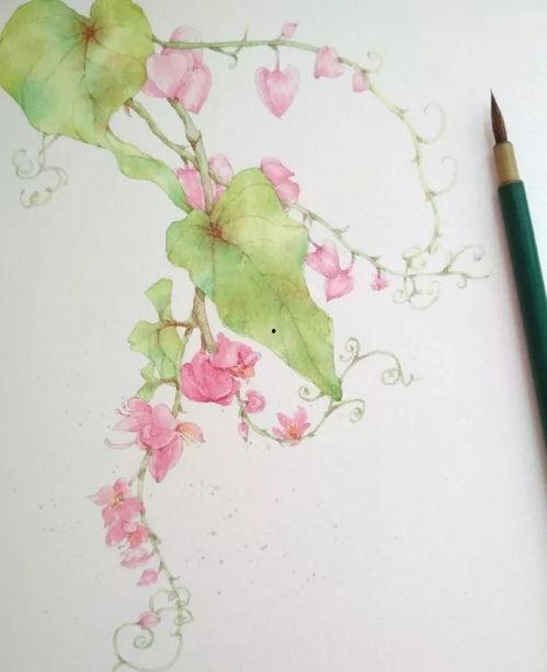 水彩画教学视频,轻松掌握水彩画技巧与创作灵感