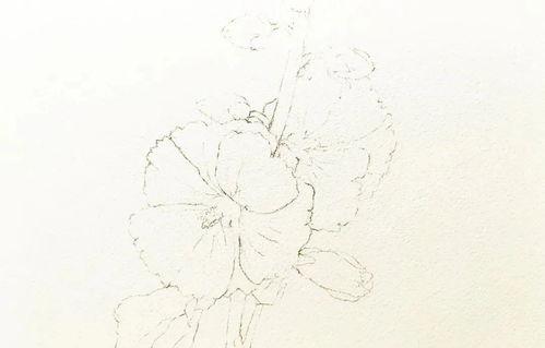 水彩画教学视频,轻松掌握水彩画技巧与创作灵感