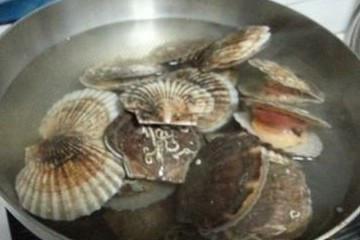 扇贝清洗视频,轻松掌握海鲜清洗技巧