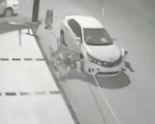 狗拆车视频,一场惊心动魄的汽车破坏之旅