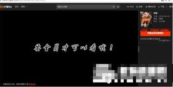 vip视频插件,解锁海量高清影视资源，畅享观影新体验