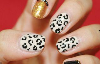 豹纹美甲教程视频,轻松打造时尚个性指尖艺术