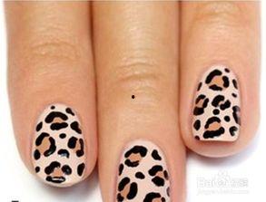 豹纹美甲教程视频,轻松打造时尚个性指尖艺术