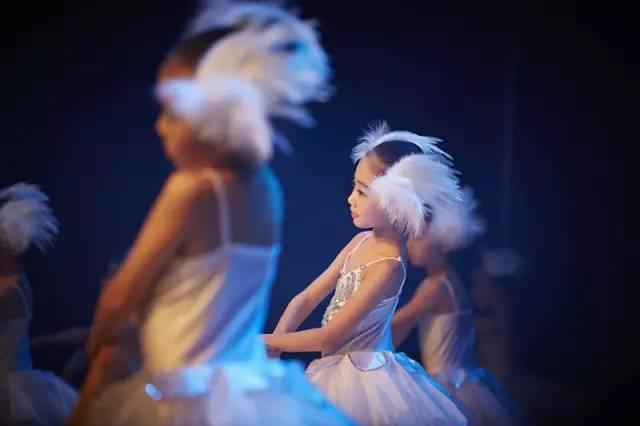 花儿与少年舞蹈视频,舞动青春，共赴舞蹈盛宴