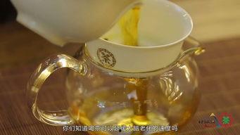 喝茶小视频,一探究竟的喝茶小视频之旅