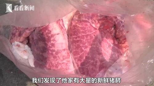 男生大鸟视频,揭秘男生校园生活的欢乐瞬间