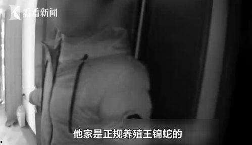 男生大鸟视频,揭秘男生校园生活的欢乐瞬间