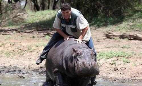 河马视频在线观看,畅享海量精彩，在线观影新体验