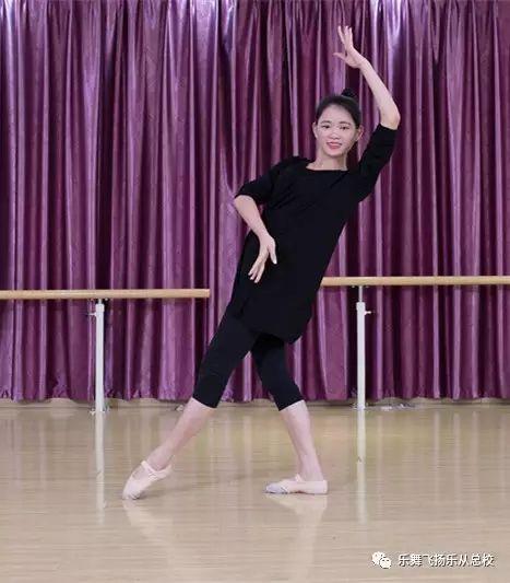 专业舞蹈视频,专业舞蹈视频的精彩解析与艺术魅力展现