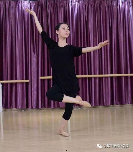 专业舞蹈视频,专业舞蹈视频的精彩解析与艺术魅力展现