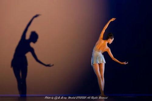 专业舞蹈视频,专业舞蹈视频的精彩解析与艺术魅力展现