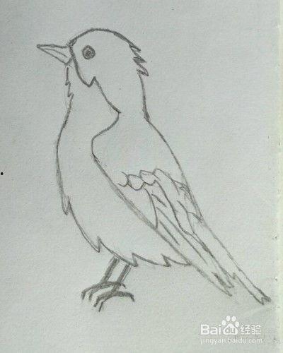 小鸟的画法视频,跟随画法视频学技巧