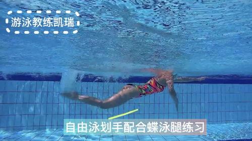 蝶泳腿视频,跟随视频学完美蝶泳腿动作