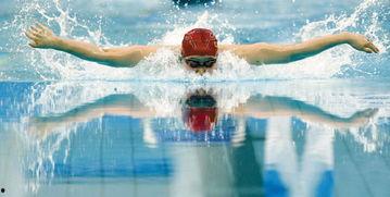 蝶泳腿视频,跟随视频学完美蝶泳腿动作