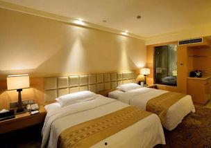 宾馆房间视频,揭秘宾馆房间里的温馨时光