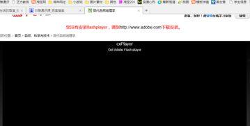 网页不能播放视频,网页视频播放故障排查指南
