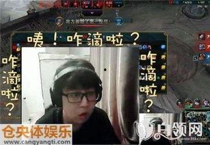 东北大鹌鹑视频,揭秘游戏直播背后的精彩瞬间