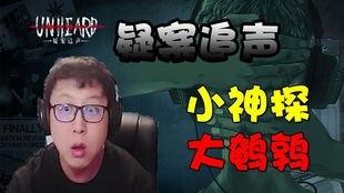 东北大鹌鹑视频,揭秘游戏直播背后的精彩瞬间