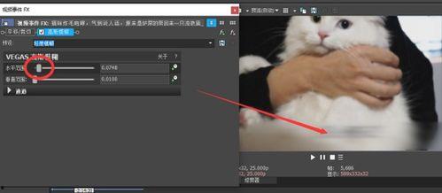 视频的字幕怎么去掉,字幕背后的故事