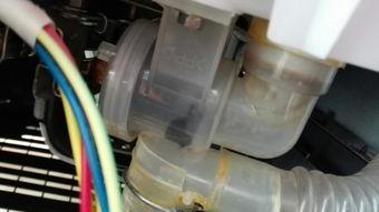 洗衣机排水阀拆装视频,洗衣机排水阀拆装步骤详解