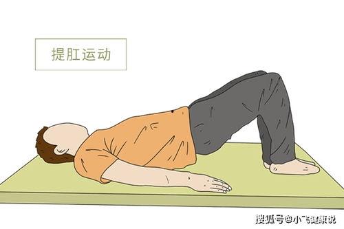 提肛运动视频教程,轻松掌握居家塑形秘籍