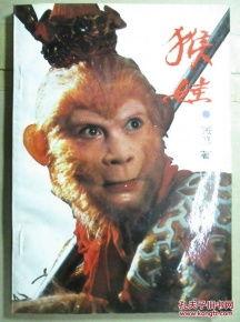 猴娃视频,揭秘动物世界的趣味瞬间