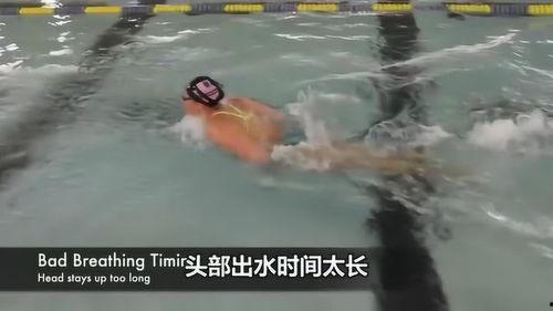 蝶泳教程视频,轻松掌握蝶泳技巧全解析