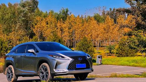 雷克萨斯rx视频,驾驭未来，尽享豪华驾驭之旅