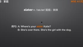 新概念视频教程,轻松掌握高效学习技巧