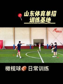 关于体育的视频,探索体育视频的魅力与启示